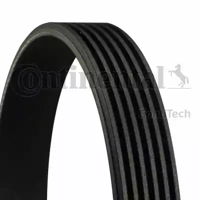 Continental 6PK1256 - V-Ribbed Belt autospares.lv