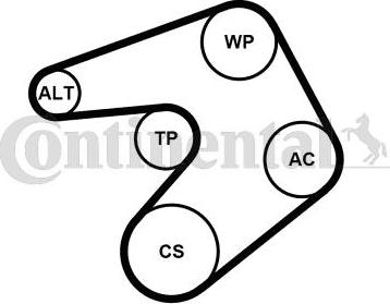 Contitech 6PK1244K1 - V-Ribbed Belt Set autospares.lv