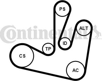 Contitech 6PK1750K2 - V-Ribbed Belt Set autospares.lv