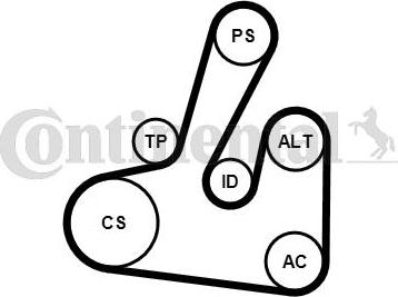 Contitech 6PK1705K2 - V-Ribbed Belt Set autospares.lv