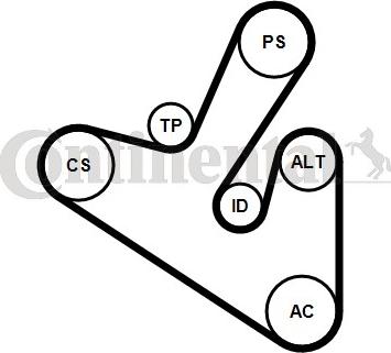 Contitech 6PK1710K1 - V-Ribbed Belt Set autospares.lv