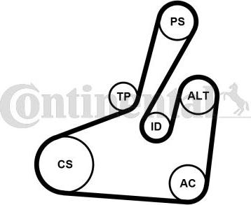 Contitech 6PK1710K2 - V-Ribbed Belt Set autospares.lv