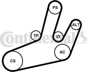 Contitech 6PK1780K1 - V-Ribbed Belt Set autospares.lv