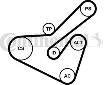 Contitech 6PK1725K2 - V-Ribbed Belt Set autospares.lv