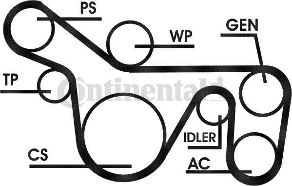 Contitech 6PK1720D1 - V-Ribbed Belt Set autospares.lv