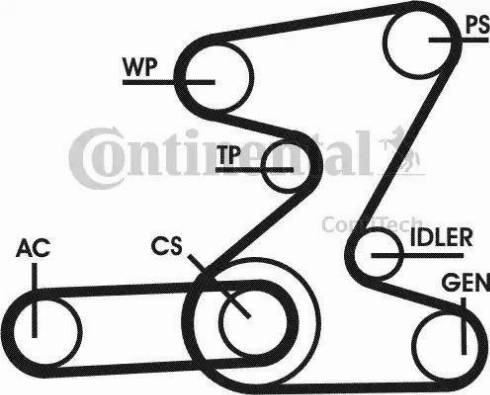 Continental 6PK2080D2 - V-Ribbed Belt autospares.lv