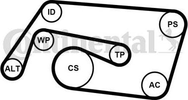 Contitech 6PK2260K2 - V-Ribbed Belt Set autospares.lv