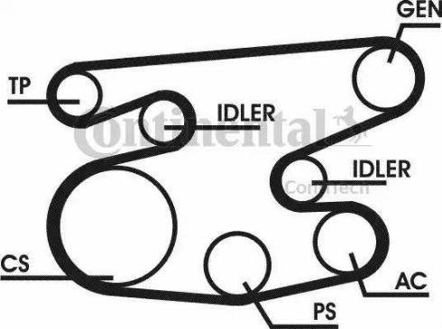 Continental 6PK2215D1 - V-Ribbed Belt Set autospares.lv