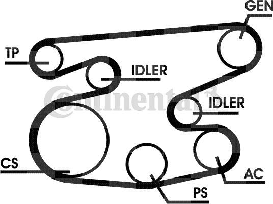 Contitech 6PK2236D1 - V-Ribbed Belt Set autospares.lv