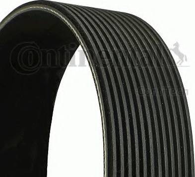 Continental 12PK1870 - V-Ribbed Belt autospares.lv