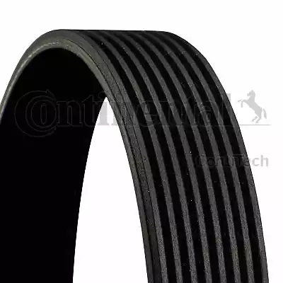 Continental 8PK2188 - V-Ribbed Belt autospares.lv