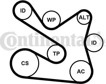 Continental 7PK1605K1 - Belt Tensioner, v-ribbed belt autospares.lv