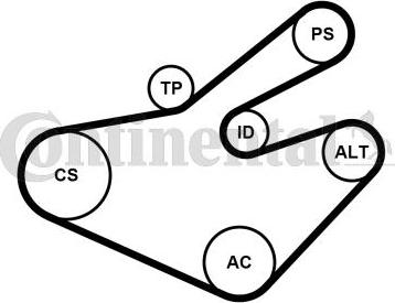 Contitech 7PK1795K1 - V-Ribbed Belt Set autospares.lv