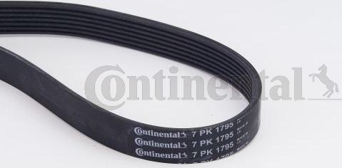 Contitech 7PK1795K1 - V-Ribbed Belt Set autospares.lv