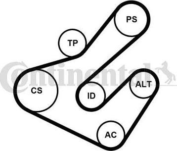 Continental 7PK1795K2 - V-Ribbed Belt Set autospares.lv