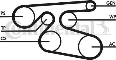 Contitech 7 PK 2000 - V-Ribbed Belt autospares.lv