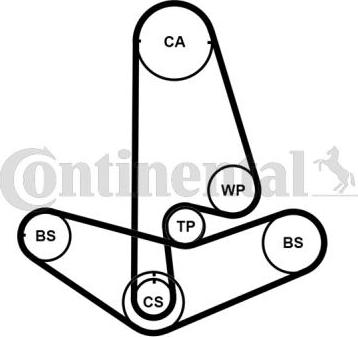 Continental CT1001WP2PRO - Water Pump & Timing Belt Set autospares.lv