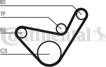 Contitech CT 1107 - Timing Belt autospares.lv