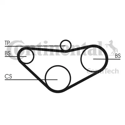 Continental CT800 - Timing Belt autospares.lv