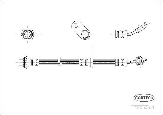 Corteco 19033531 - Brake Hose autospares.lv