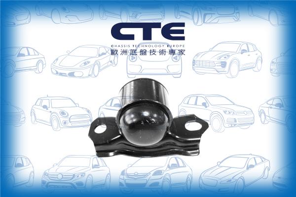 CTE CBH06046L - Bush of Control / Trailing Arm autospares.lv