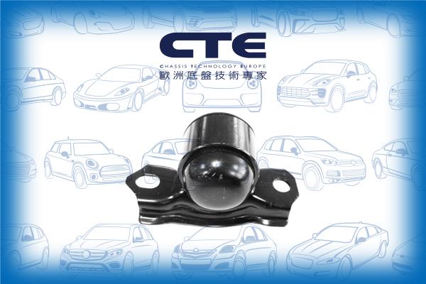 CTE CBH06046R - Bush of Control / Trailing Arm autospares.lv