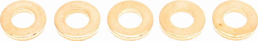 Delphi 9001-850A - Seal Ring, injector autospares.lv