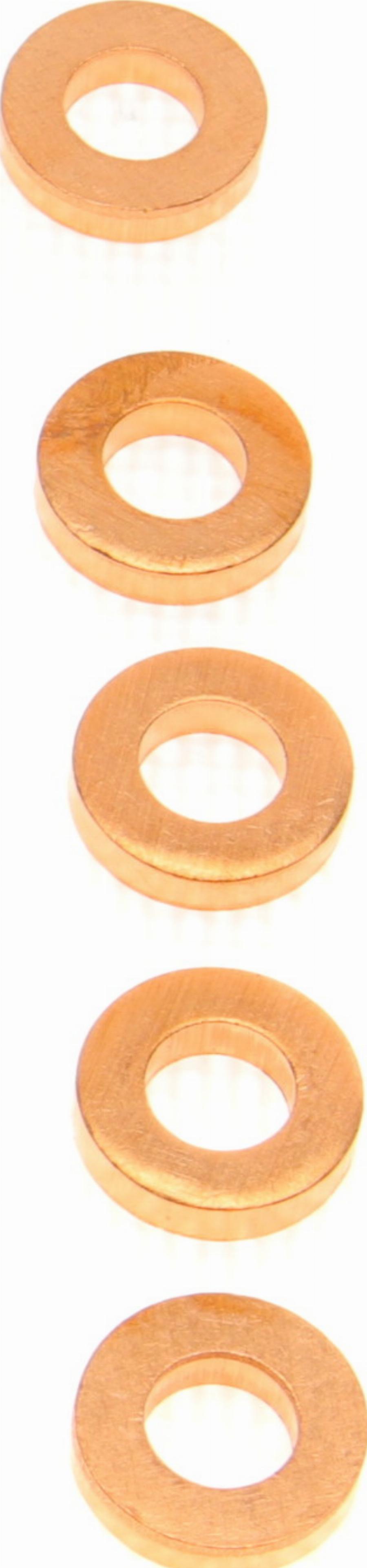 Delphi 9001-850C - Seal Ring, injector shaft autospares.lv