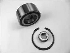 Delphi BK1596 - Wheel hub, bearing Kit autospares.lv