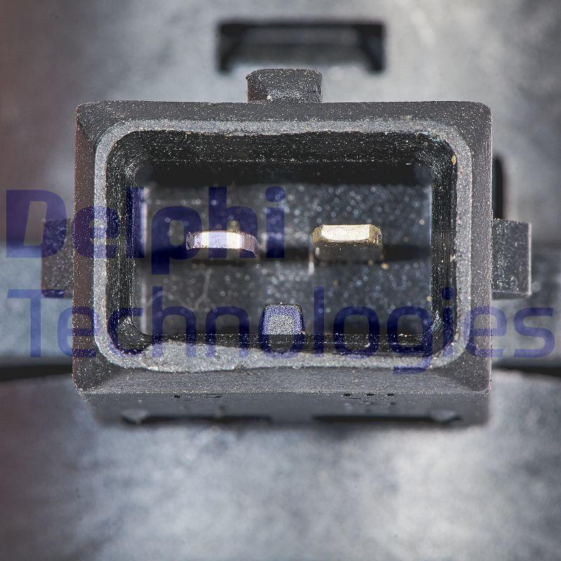 Delphi EG10647-12B1 - EGR Valve autospares.lv