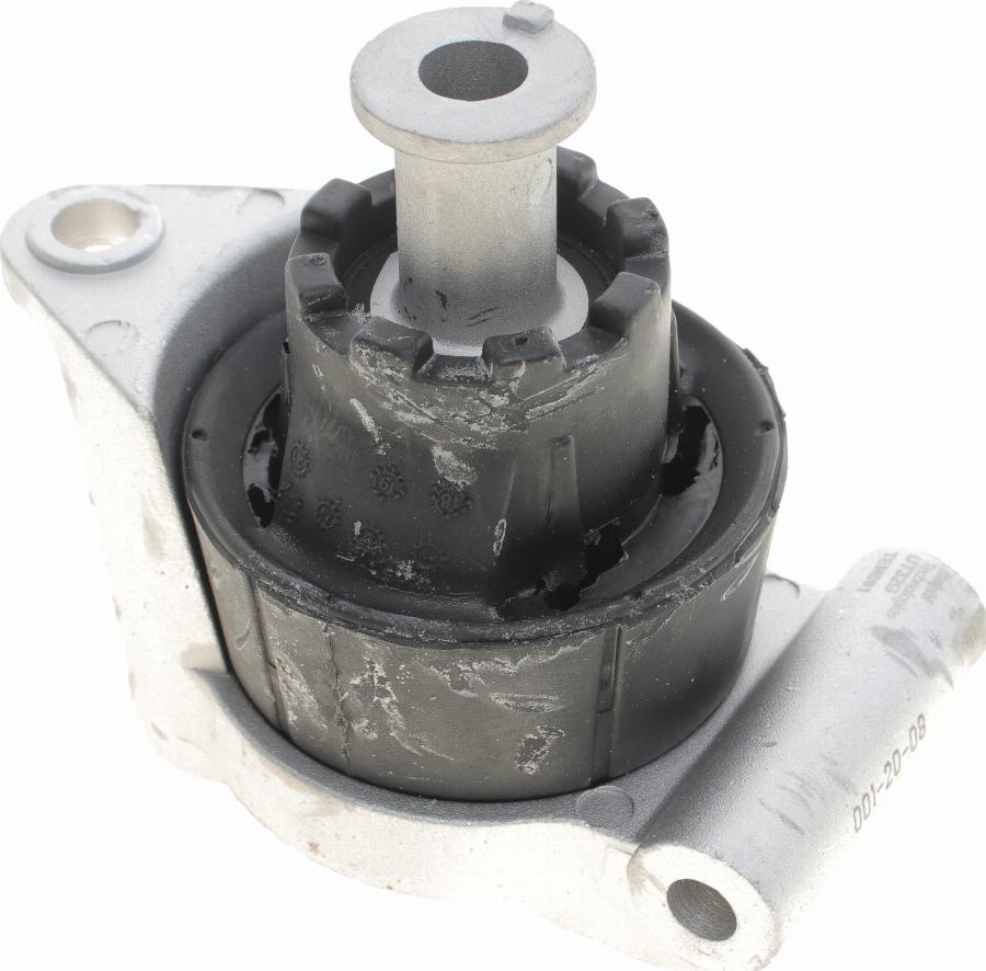 Delphi TEM091 - Holder, engine mounting autospares.lv