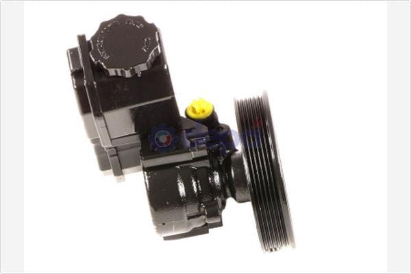 DEPA PA828 - Hydraulic Pump, steering system autospares.lv