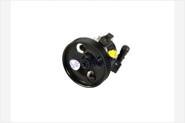 DEPA PA223 - Hydraulic Pump, steering system autospares.lv