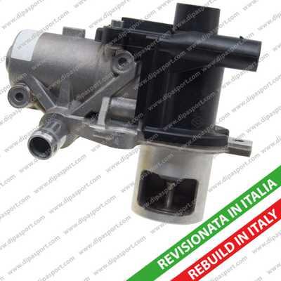 Dipasport EGR096R - EGR Valve autospares.lv