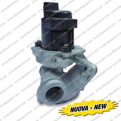 Dipasport EGR017N - EGR Valve autospares.lv