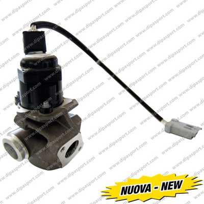 Dipasport EGR031AN - EGR Valve autospares.lv