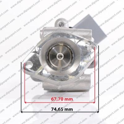 Dipasport EGR029AN - EGR Valve autospares.lv