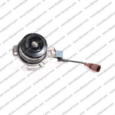 Dipasport PAA021PRBN - Water Pump autospares.lv