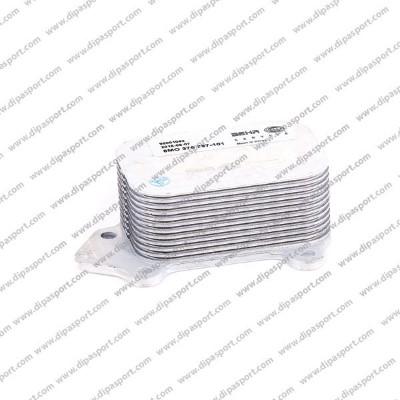 Dipasport RAO142BHRN - Oil Cooler, engine oil autospares.lv