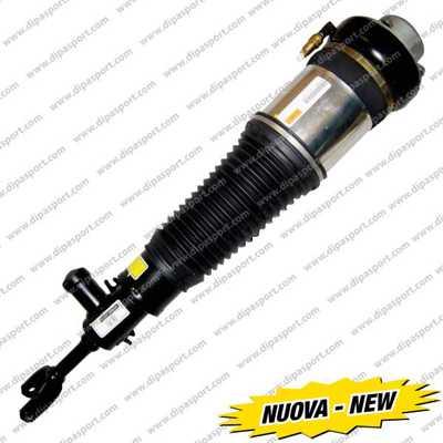 Dipasport SSAS02744N - Air Spring Strut autospares.lv