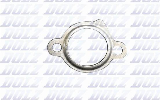 DOLZ 02KCJ021 - Gasket / Seal autospares.lv