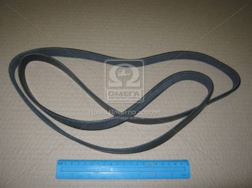 Dongil 6PK1740 - V-Ribbed Belt autospares.lv