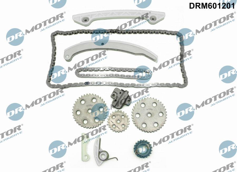 Dr.Motor Automotive DRM601201 - Timing Chain Kit autospares.lv