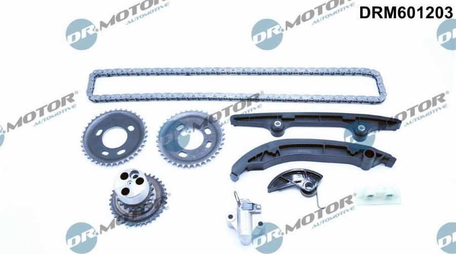 Dr.Motor Automotive DRM601203 - Timing Chain Kit autospares.lv