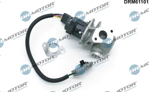 Dr.Motor Automotive DRM61101 - EGR Valve autospares.lv