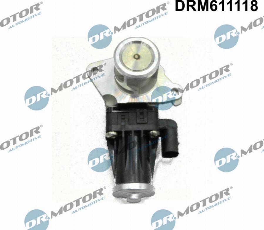 Dr.Motor Automotive DRM611118 - EGR Valve autospares.lv