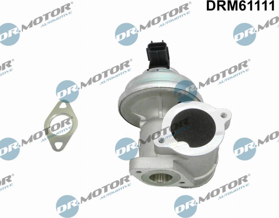 Dr.Motor Automotive DRM61111 - EGR Valve autospares.lv