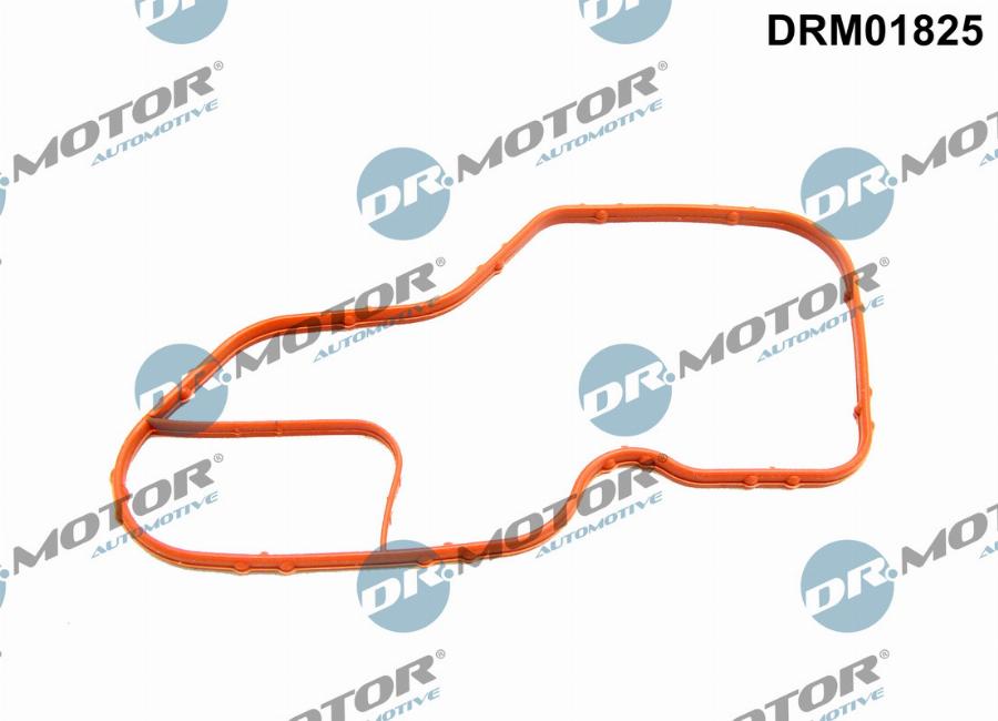 Dr.Motor Automotive DRM01825 - Gasket, thermostat housing autospares.lv