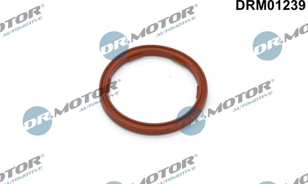 Dr.Motor Automotive DRM01239 - Seal Ring, engine oil level sensor autospares.lv