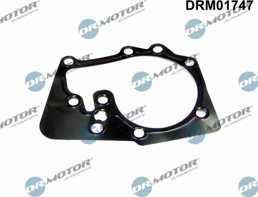 Dr.Motor Automotive DRM01747 - Gasket, water pump autospares.lv